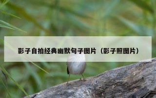 影子自拍经典幽默句子图片（影子照图片）
