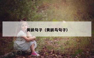 黄鹂句子（黄鹂鸟句子）