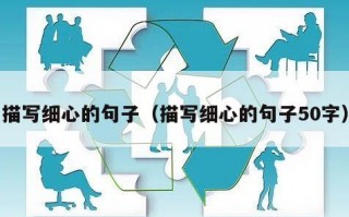 描写细心的句子（描写细心的句子50字）