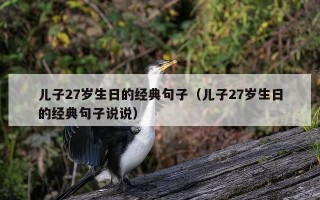 儿子27岁生日的经典句子（儿子27岁生日的经典句子说说）