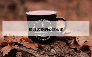 挽回老婆的心攻心术 挽回老婆的心攻心术