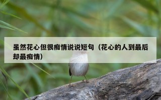 虽然花心但很痴情说说短句（花心的人到最后却最痴情）