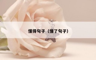 懂得句子（懂了句子）