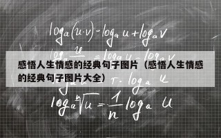 感悟人生情感的经典句子图片（感悟人生情感的经典句子图片大全）