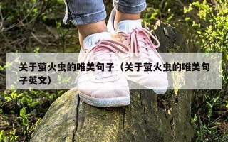 关于萤火虫的唯美句子（关于萤火虫的唯美句子英文）