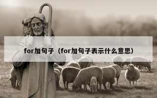 for加句子（for加句子表示什么意思）