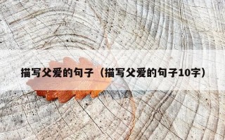 描写父爱的句子（描写父爱的句子10字）