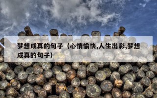 梦想成真的句子（心情愉快,人生出彩,梦想成真的句子）