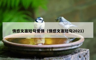 情感文案短句爱情（情感文案短句2021）