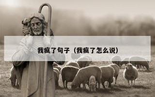 我疯了句子（我疯了怎么说）