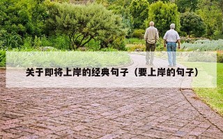 关于即将上岸的经典句子（要上岸的句子）