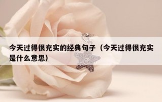 今天过得很充实的经典句子（今天过得很充实是什么意思）