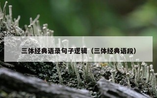 三体经典语录句子逻辑（三体经典语段）