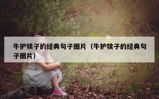牛护犊子的经典句子图片（牛护犊子的经典句子图片）