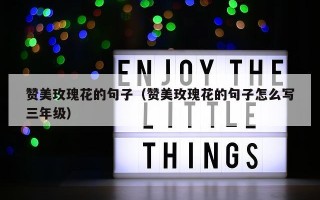 赞美玫瑰花的句子（赞美玫瑰花的句子怎么写三年级）