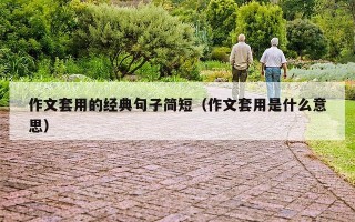 作文套用的经典句子简短（作文套用是什么意思）
