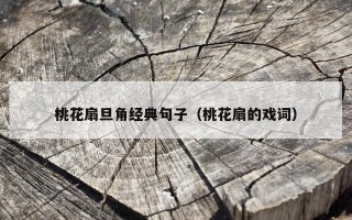 桃花扇旦角经典句子（桃花扇的戏词）