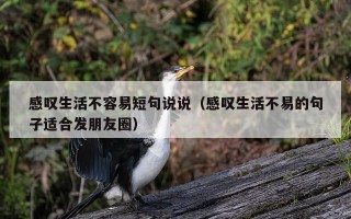 感叹生活不容易短句说说（感叹生活不易的句子适合发朋友圈）
