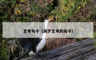 艺考句子（关于艺考的段子）