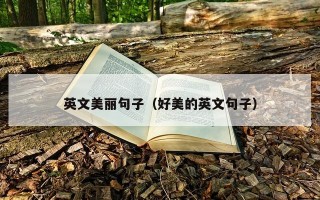 英文美丽句子（好美的英文句子）