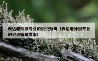 表达老师很专业的说说短句（表达老师很专业的说说短句文案）