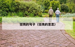 狂拽的句子（狂拽的意思）