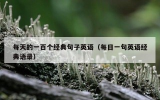 每天的一百个经典句子英语（每日一句英语经典语录）