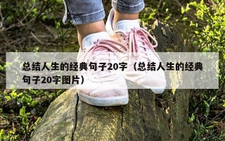 总结人生的经典句子20字（总结人生的经典句子20字图片）