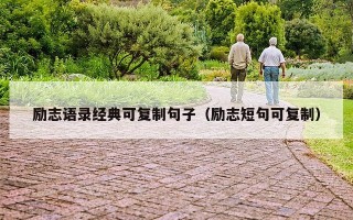励志语录经典可复制句子（励志短句可复制）