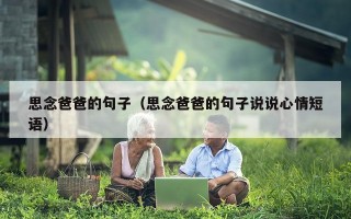 思念爸爸的句子（思念爸爸的句子说说心情短语）