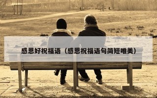感恩好祝福语（感恩祝福语句简短唯美）