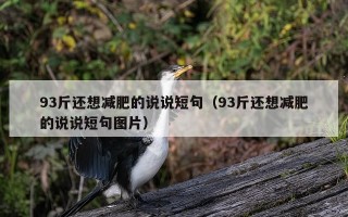 93斤还想减肥的说说短句（93斤还想减肥的说说短句图片）