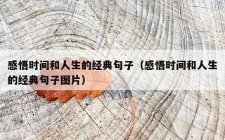 感悟时间和人生的经典句子（感悟时间和人生的经典句子图片）