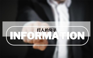 打人的句子