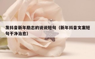 发抖音新年励志的说说短句（新年抖音文案短句干净治愈）