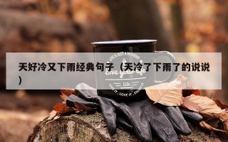 天好冷又下雨经典句子（天冷了下雨了的说说）