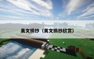 美文摘抄（美文摘抄欣赏）