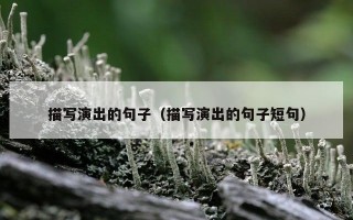 描写演出的句子（描写演出的句子短句）