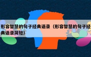 形容智慧的句子经典语录（形容智慧的句子经典语录简短）