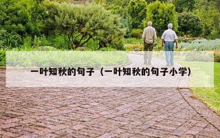 一叶知秋的句子（一叶知秋的句子小学）