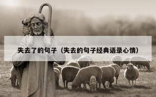 失去了的句子（失去的句子经典语录心情）