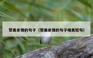 赞美亲情的句子（赞美亲情的句子唯美短句）