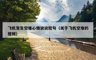 飞机发生空难心情说说短句（关于飞机空难的视频）