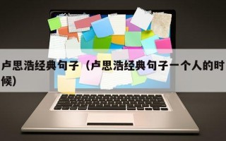 卢思浩经典句子（卢思浩经典句子一个人的时候）