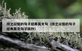 持之以恒的句子经典英文句（持之以恒的句子经典英文句子摘抄）