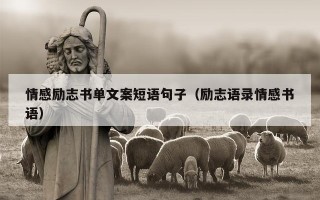 情感励志书单文案短语句子（励志语录情感书语）