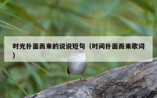时光扑面而来的说说短句（时间扑面而来歌词）