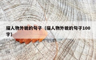 描人物外貌的句子（描人物外貌的句子100字）