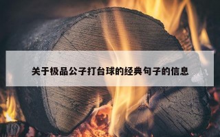 关于极品公子打台球的经典句子的信息