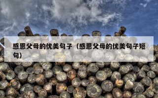 感恩父母的优美句子（感恩父母的优美句子短句）